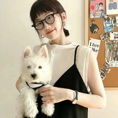 小王国的爱情